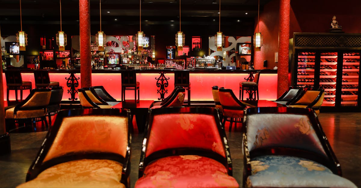 Casual Dining: A Guide to Pet-Friendly Restaurants on the Gold Coast