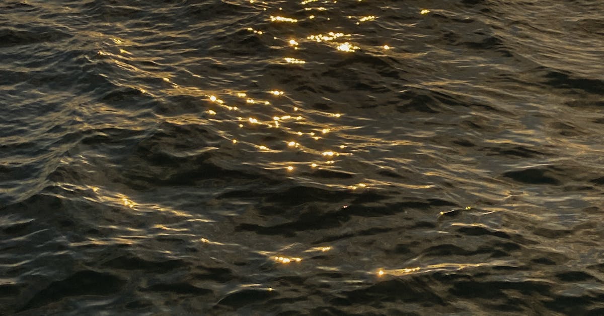 Coastal Views: Cafés with Breathtaking Beachfront Locations