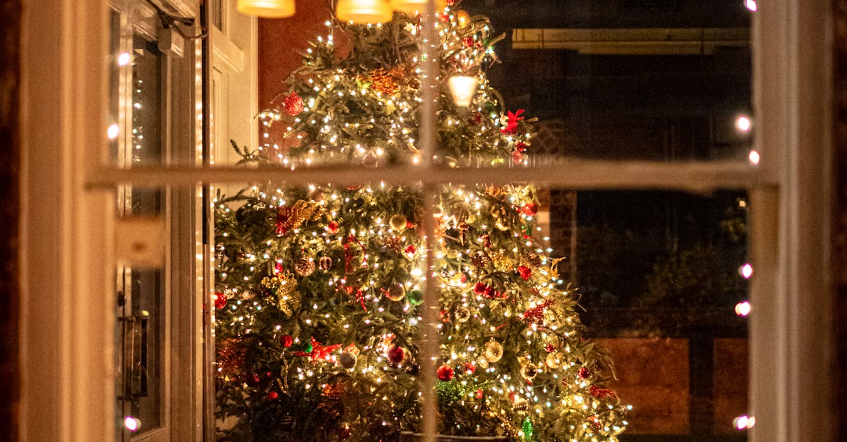 Comparing Drive-Thru Options on the Gold Coast