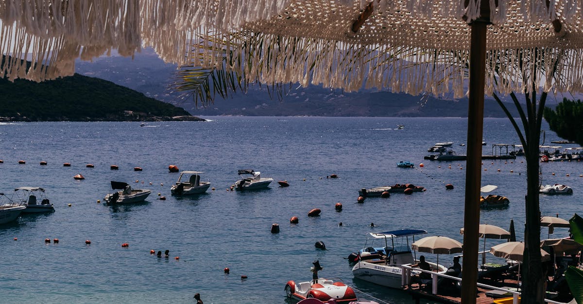 Fresh Catches: The Ultimate Guide to Gold Coast Seafood