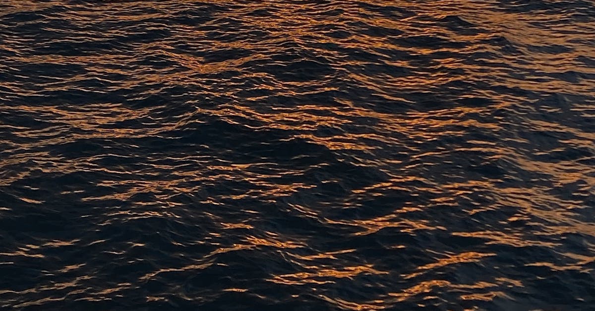 Hidden Gems: Family-Owned Italian Restaurants in Gold Coast