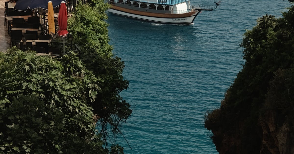 How Background Music Enhances the Dining Atmosphere in Gold Coast Eateries