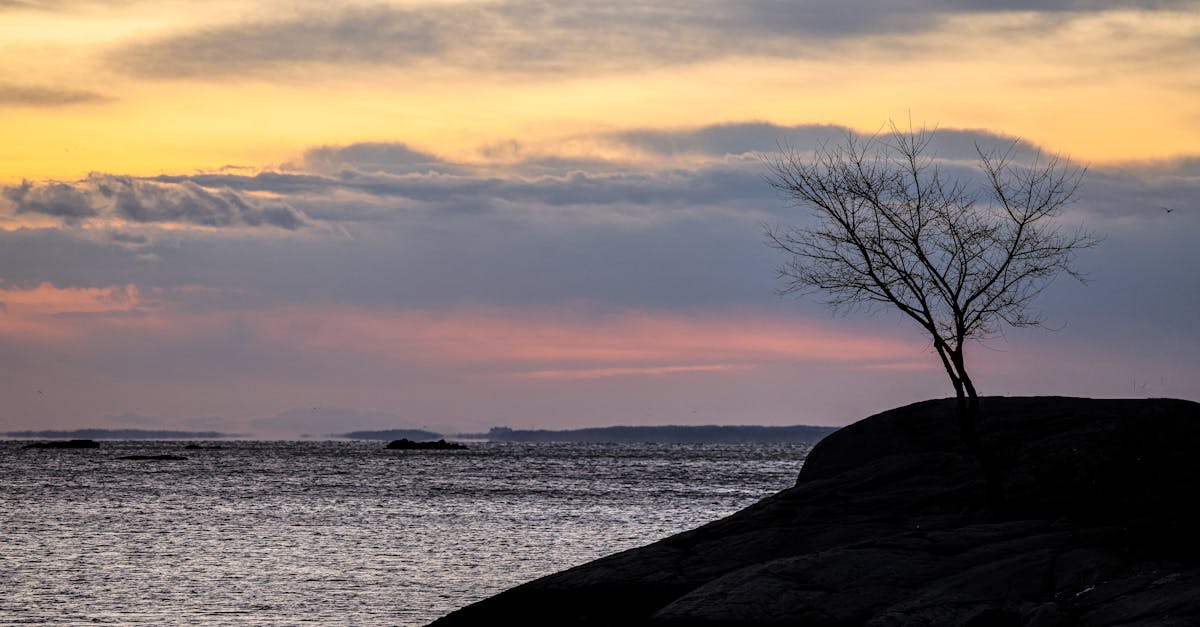 Iconic Desserts in Modern Australian Dining at Gold Coast