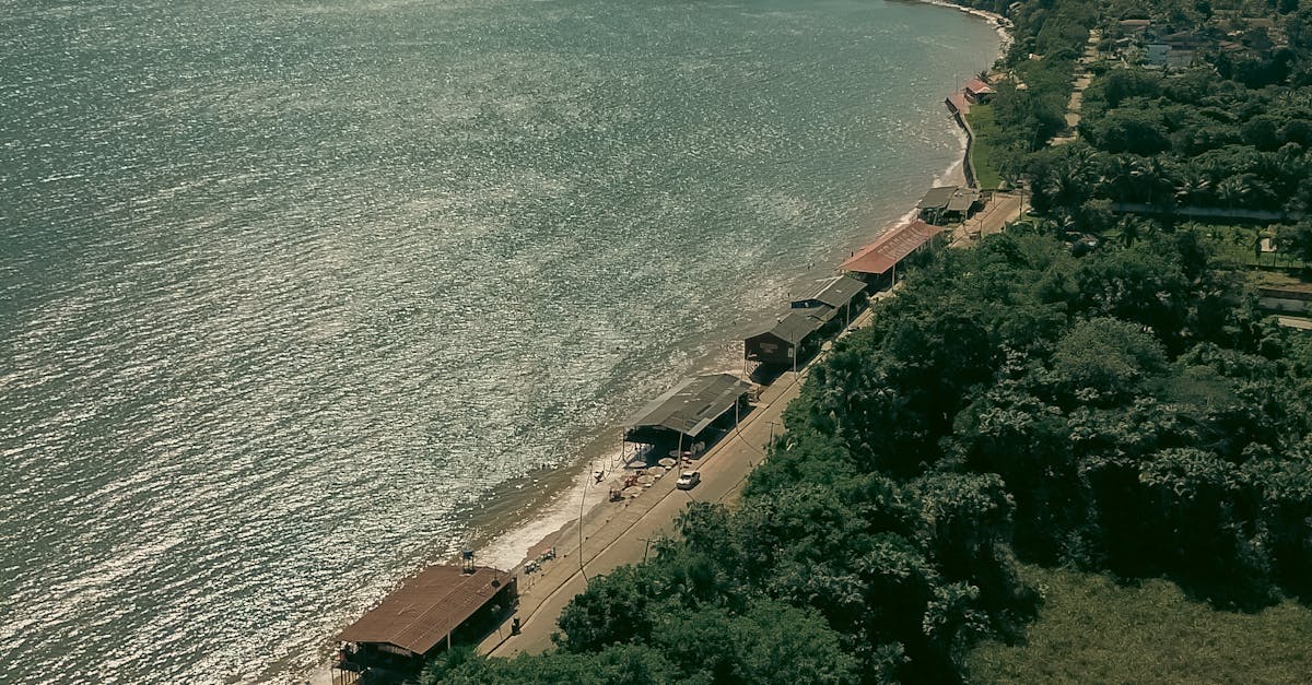 Iconic Seafood Dishes to Try on the Gold Coast