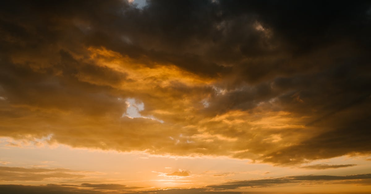 Innovative Vegetarian Trending Dishes Across Gold Coast