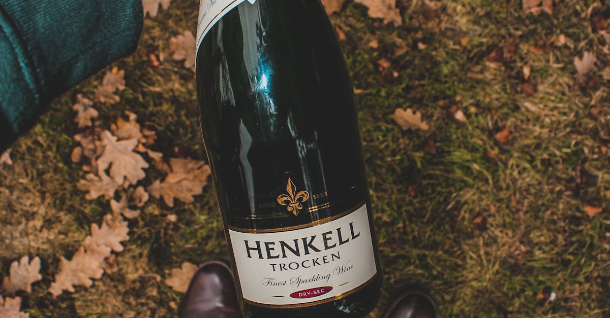 Modern Twists on Traditional Italian Cuisine in Gold Coast