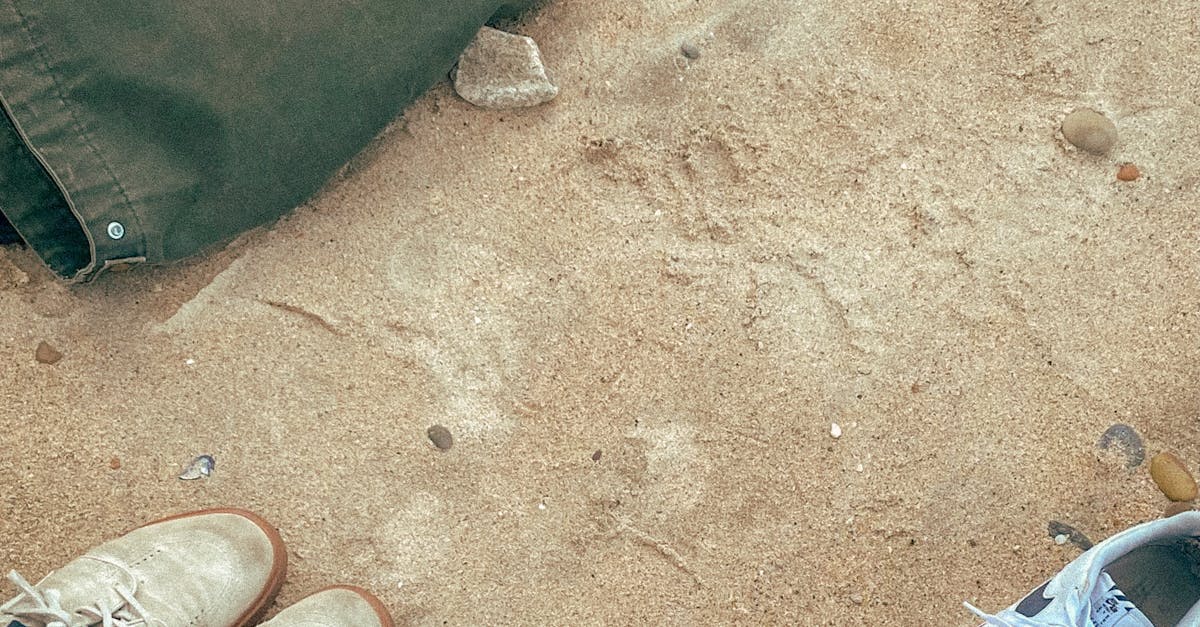 Seasonal Vegetarian Menus: Where to Find Them on the Gold Coast