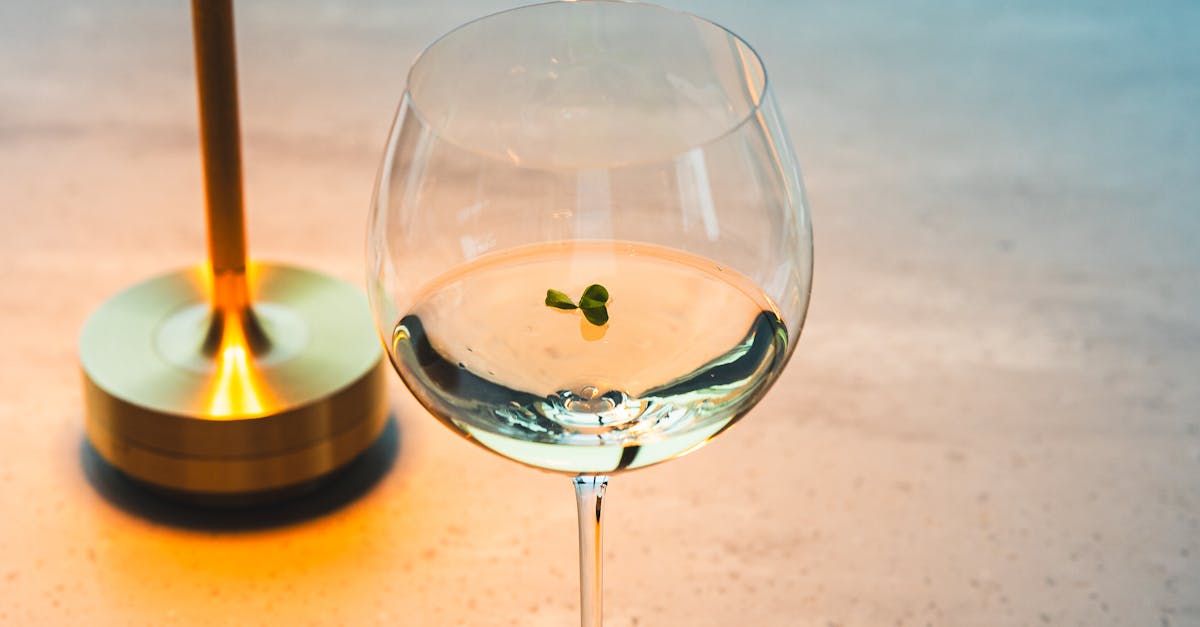 The Rise of Vietnamese Pho: Best Places in Gold Coast